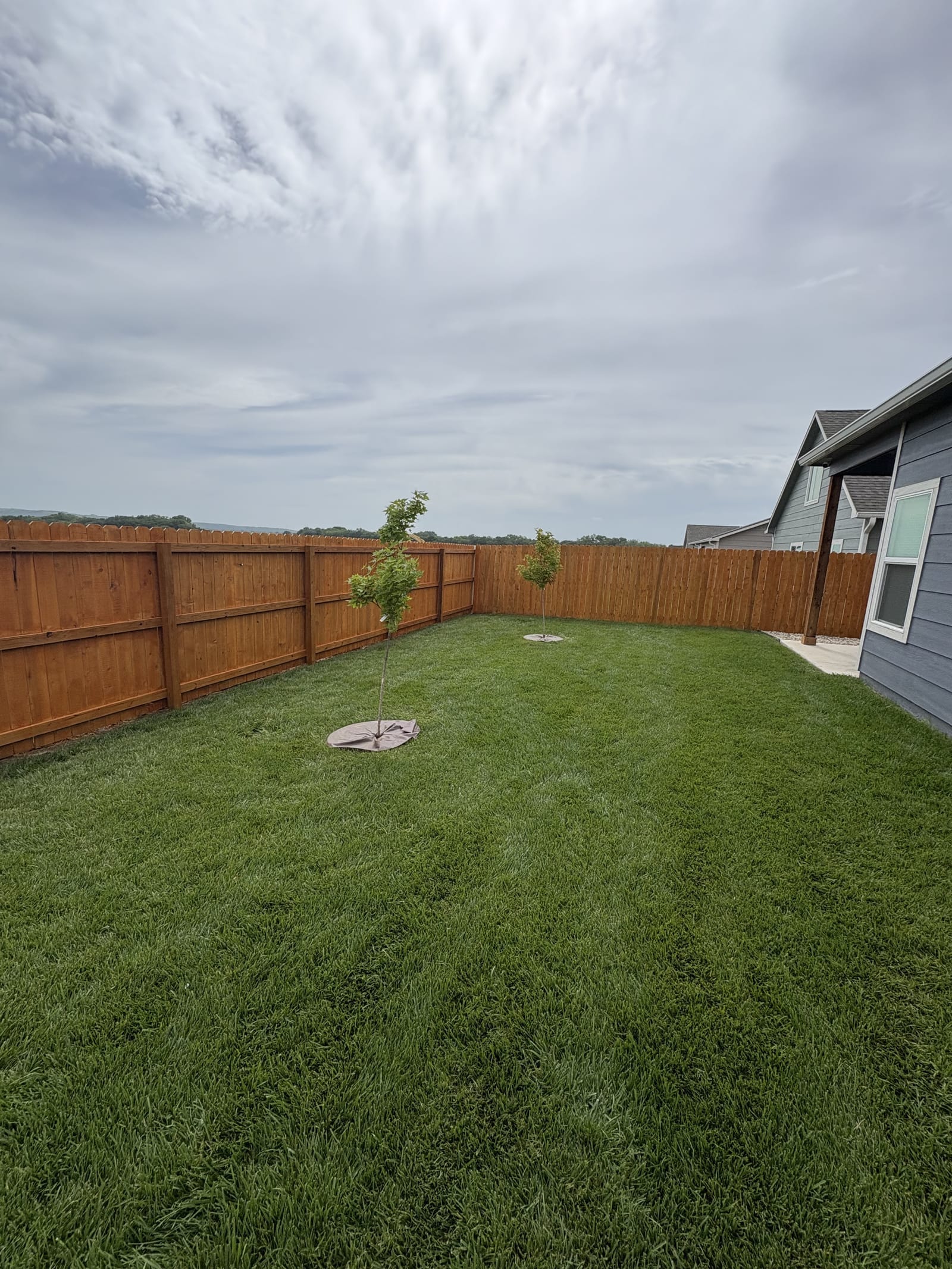 Freshly stained wood fence