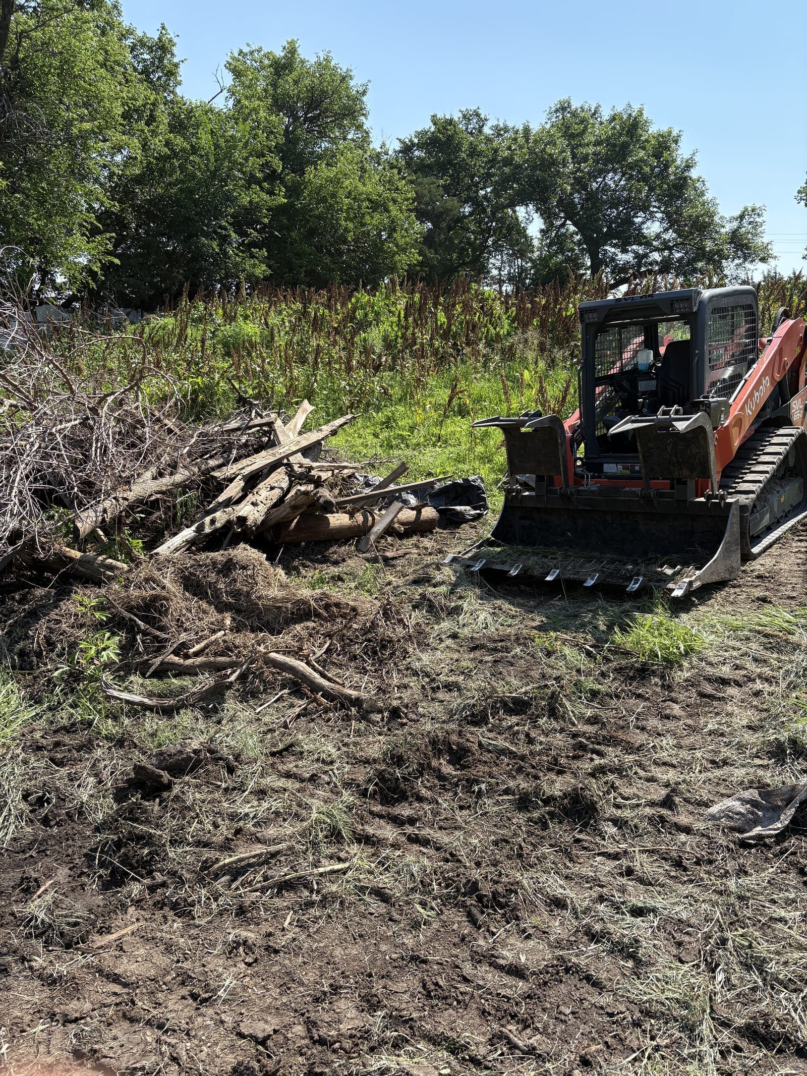 Cleared overgrown land ready for use