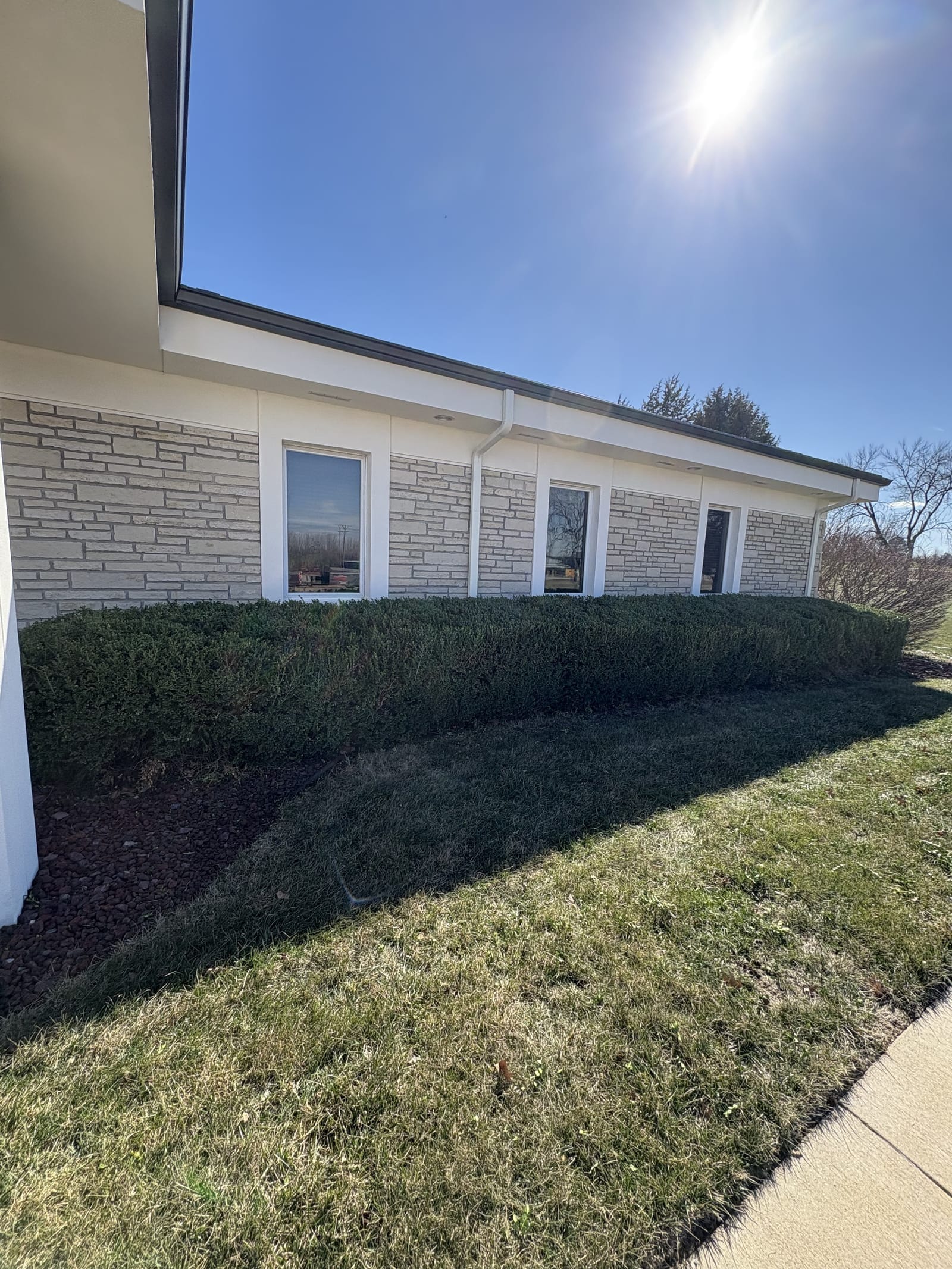 Trimmed bushes and shrubs after landscape maintenance