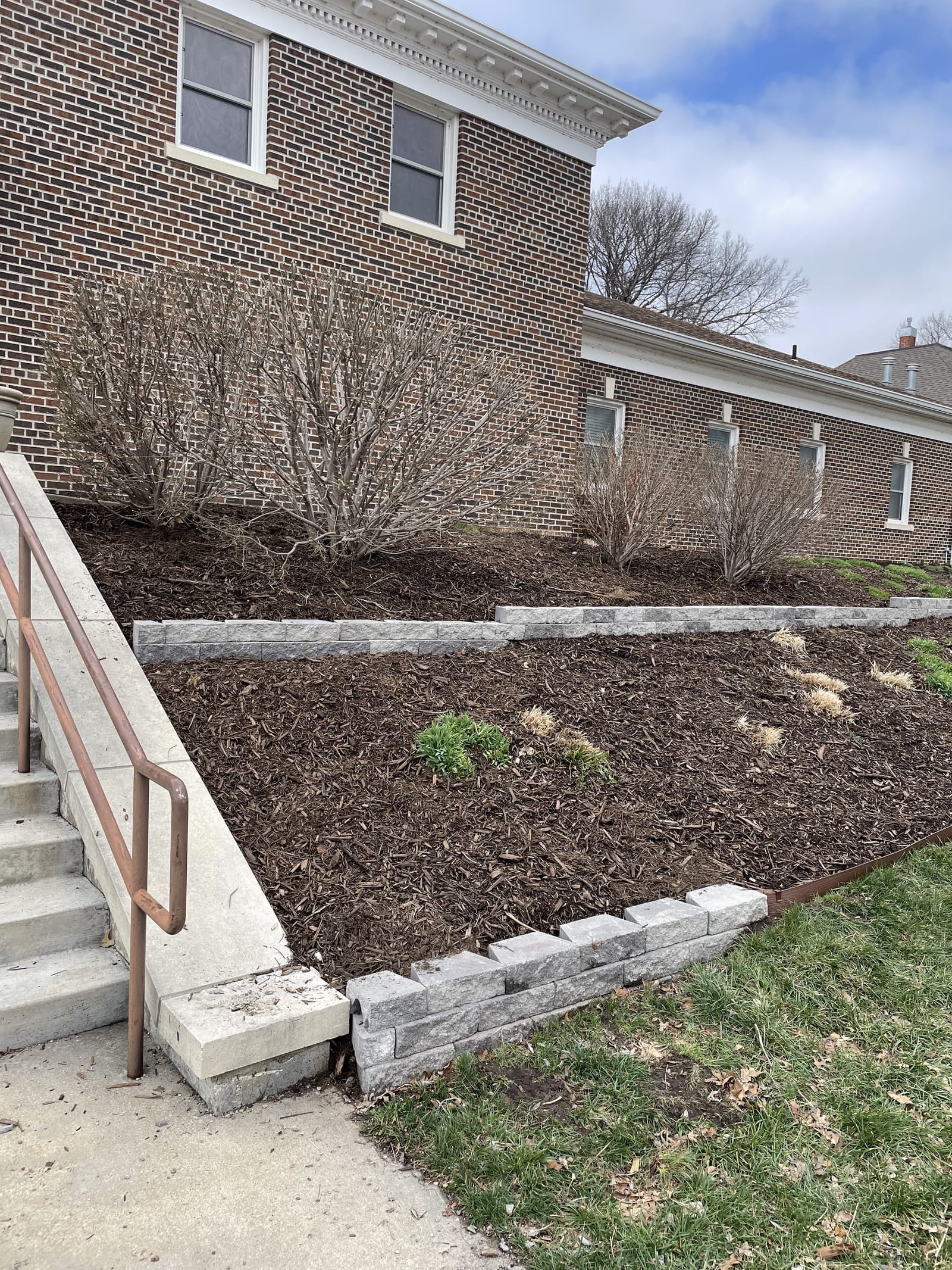 Freshly installed mulch bed around landscaping